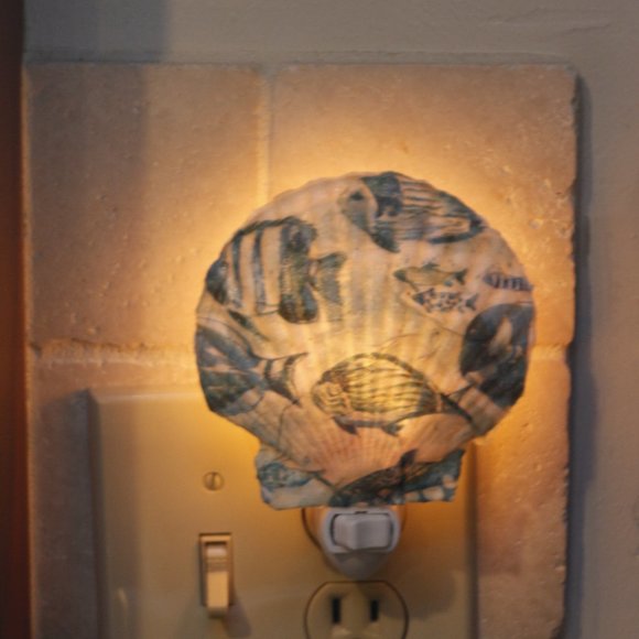 Sea Shell Night Light with Fish Design - Picture 4 of 5